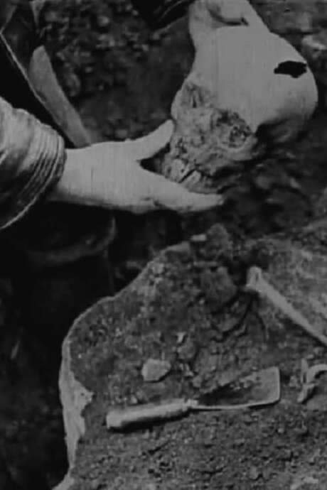 Story of the Unknown Soldier